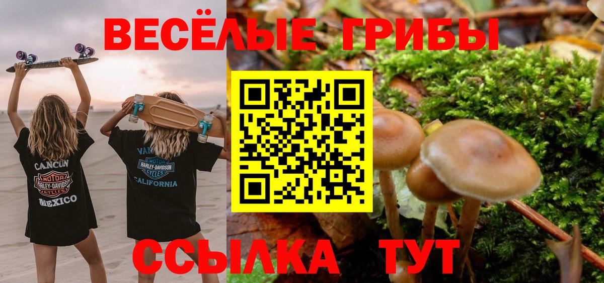 Стрежевой  Псилоцибиновые грибы GOLDEN TEACHER  Вход с VPN 